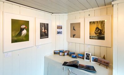 Galleri Hamnen 102
