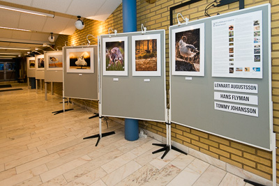Fotoutställning under Arvika Fotofestival tillsammans med Lennart Augustsson och Tommy Johansson